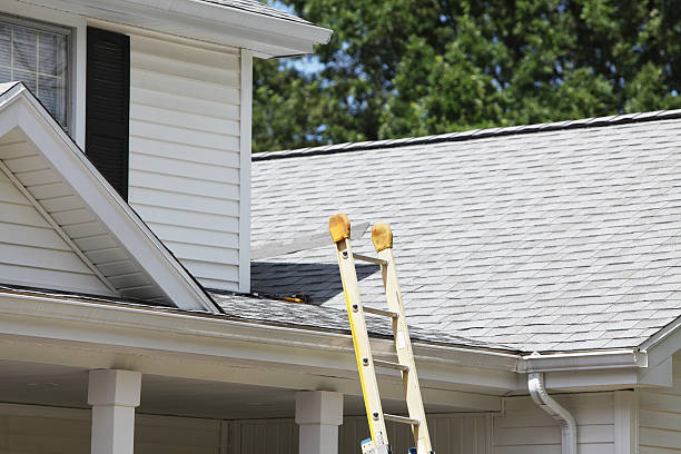 Best Siding Replacement  in Emory, VA