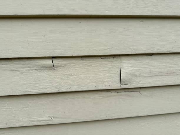 Best Siding Painting and Refinishing  in Emory, VA